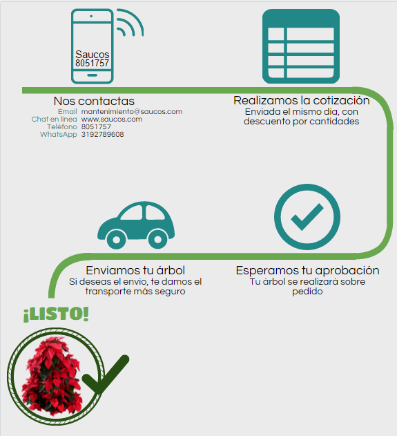 NavidadPoinsetiasINFOGRAFÍA