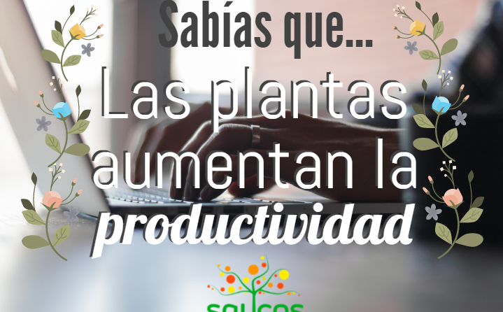 jardinería, jardines, jardin, plantas, beneficios de las plantas, productividad, medio ambiente, naturaleza