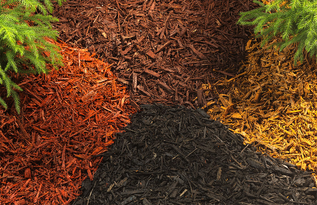 mulch-que-es