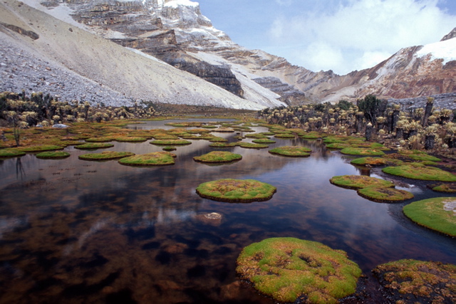 parque-el-cocuy