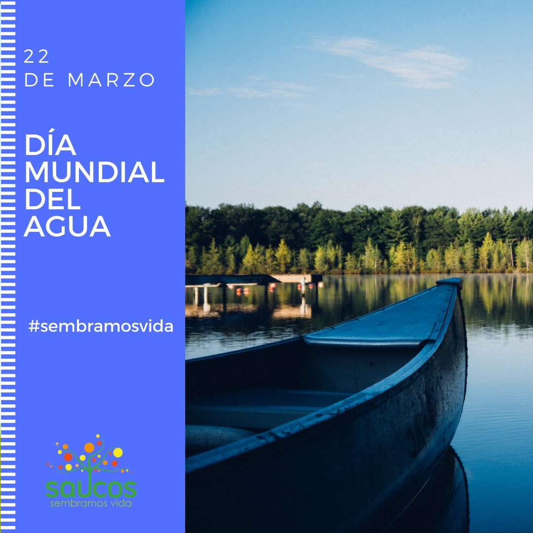 22 marzo dia del agua redes