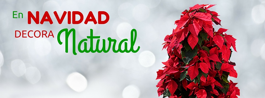 Árbol de navidad